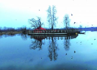 Shades Of Arctic Kashmir