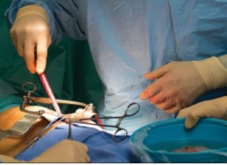 ‘She’s The Kidney Of My Life’ ‘She’s The Kidney Of My Life’