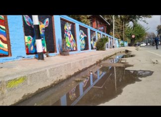 The ‘Not-So-Smart’ City