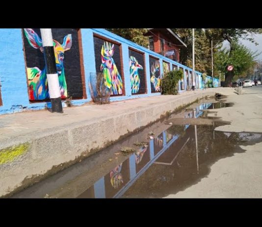 The ‘Not-So-Smart’ City