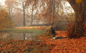 Man fishing under the shades of chinar during autumn days at Chinar Park Srinagar.