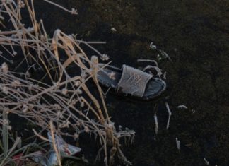 Dal Freezing Winter Tales Mercury settled at -2 degrees in hilly areas