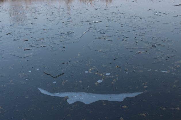 Blankets of frost enveloping Dal Lake as temperatures dips to -6 degrees