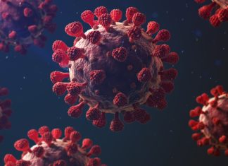 JK reports 4651 fresh covid cases, 3 more fatalities. Srinagar, Jan 18(KNS): Jammu and Kashmir today reported 4651 new COVID-19 cases with 1546 from Jammu division and 3105 from Kashmir division taking the total count of cases to 366851. Moreover, 899 patients were discharged from hospitals across UT. In a division wise breakup for positive cases, Kashmir recorded highest number with Srinagar having reported 957 cases. Jammu reported 919 total cases with highest count of 184 cases in Udhampur district. According to the daily Media Bulletin, total numbers of mucormycosis remain 51 across J&K as no new case has been reported. As vaccination drive remains uninterrupted, during the last 24 hours 51,060 vaccine doses were administered bringing the total number to 1,99,77,343. For any guidance, general public can contact helpline numbers - 0191-2520982 in Jammu Division and 0194-2440283 in Kashmir Division. Toll free number 108 or 102 can also be availed incase of any emergency.