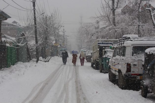 Umbrella clad people make their way through snow covered street.