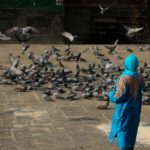 Girl feeding pigeons in the compound of Khanqa-E-Maula.