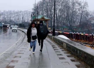 Troubles with Delight: Snowfall In Kashmir