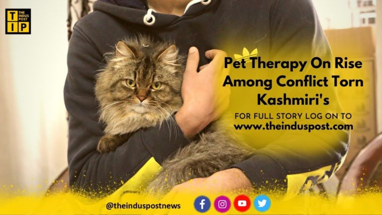 Pet Therapy On Rise Among Conflict Torn Kashmiris