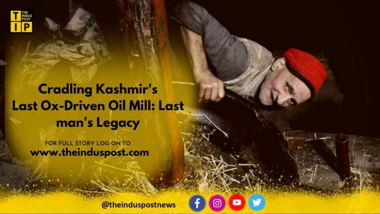 Cradling Kashmir’s Last Ox-Driven Oil Mill: Last Man’s Legacy