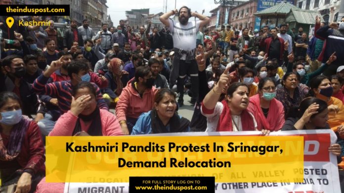 Kashmiri Pandits Protest In Srinagar, Demand Relocation