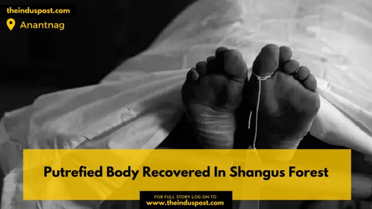 Putrefied Body Recovered In Shangus Forest