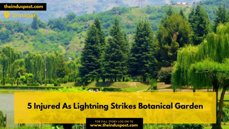 5 Injured As Lightning Strikes Botanical Garden