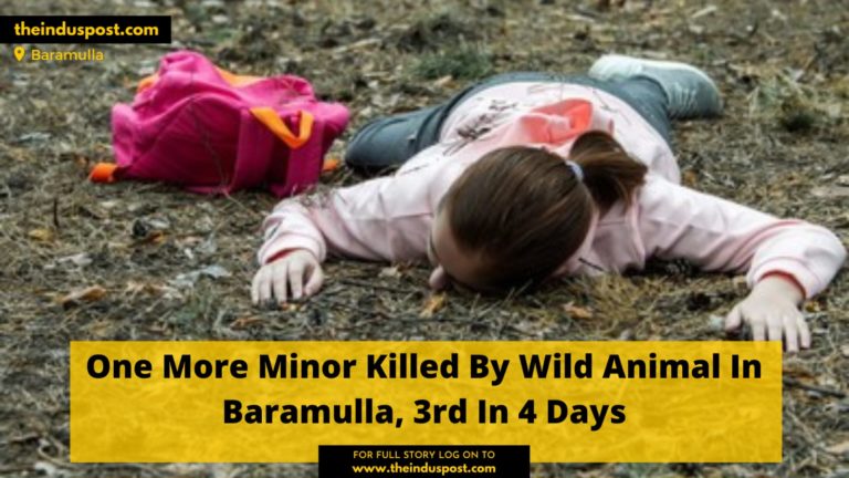 One More Minor Killed By Wild Animal In Baramulla, 3rd In 4 Days