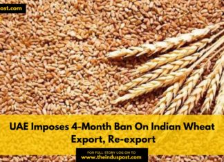 UAE Imposes 4-Month Ban On Indian Wheat Export, Re-export UAE Imposes 4-Month Ban On Indian Wheat Export, Re-export