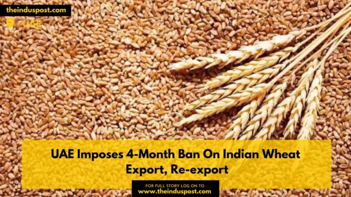 UAE Imposes 4-Month Ban On Indian Wheat Export, Re-export