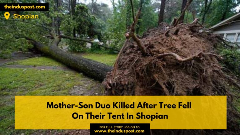 Mother-Son Duo Killed After Tree Fell On Their Tent In Shopian