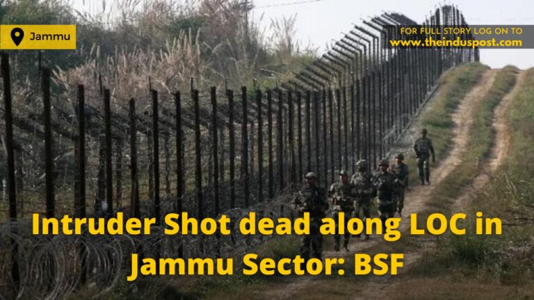 Intruder Shot dead along LOC in Jammu Sector: BSF