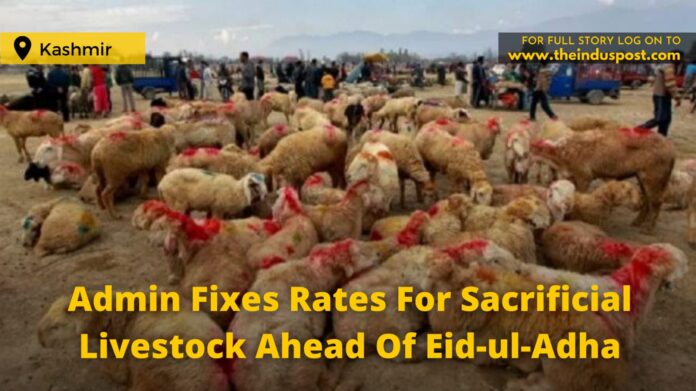 Admin Fixes Rates For Sacrificial Livestock Ahead Of Eid-ul-Adha