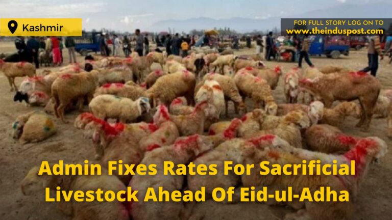 Admin Fixes Rates For Sacrificial Livestock Ahead Of Eid-ul-Adha