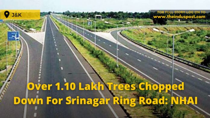 Over 1.10 Lakh Trees Chopped Down For Srinagar Ring Road: NHAI