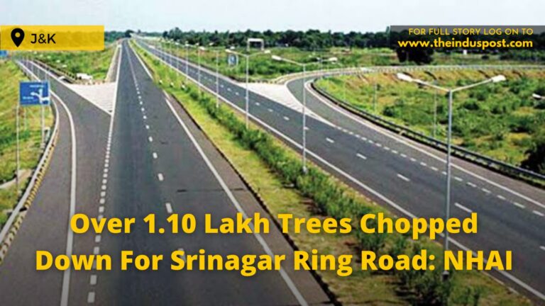 Over 1.10 Lakh Trees Chopped Down For Srinagar Ring Road: NHAI