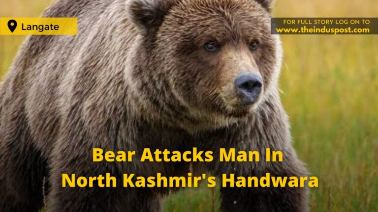 Bear Attacks Man In North Kashmir’s Handwara