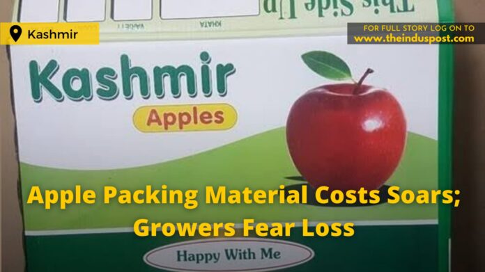 Apple Packing Material Costs Soar; Growers Fear Loss