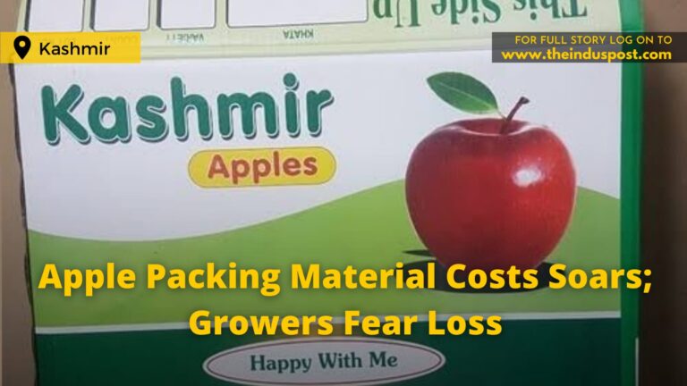 Apple Packing Material Costs Soar; Growers Fear Loss