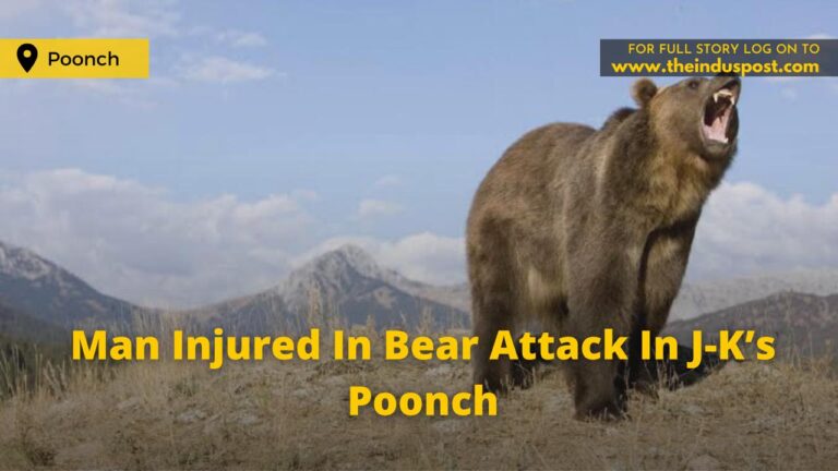 Man Injured In Bear Attack In J-K’s Poonch