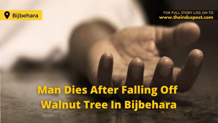 Man Dies After Falling Off Walnut Tree In Bijbehara