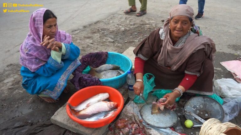 Kashmir’s Gadwajin (Fisherwomen) On The Verge Of Extinction