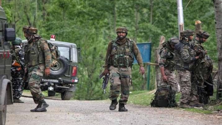 JeM Militant Killed In Shopian, Ops On: Police