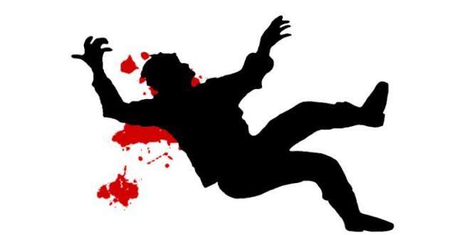 Man Dies After Falling From Tree In Bandipora