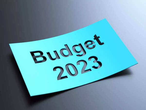 JK Gets Rs 35581 Crore Central Assistance In Union Budget