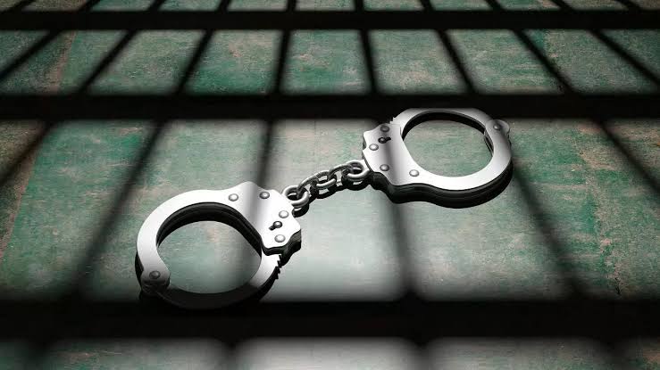 Two LeT OGWs Arrested in Bandipora: Police