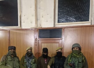 LeT OGW Arrested With Ammunition In Baramulla: Police