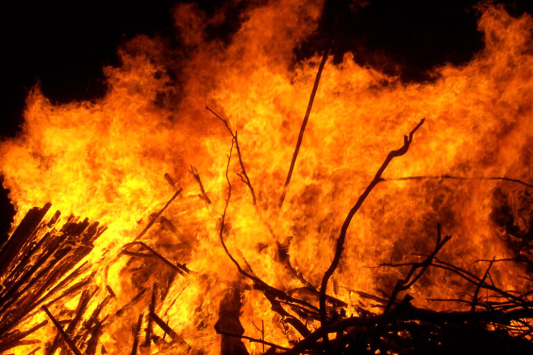 12 Goats Charred To Death In Late Night Blaze In Budgam Village