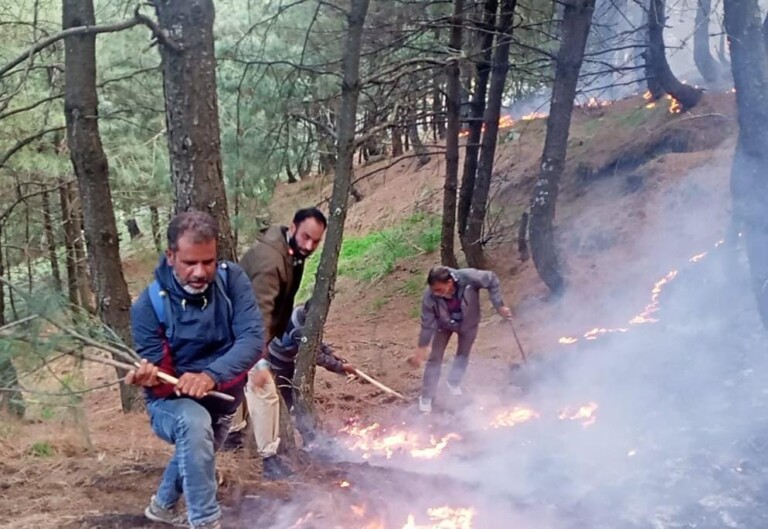 Fire Breaks Out In Bandipora Forests
