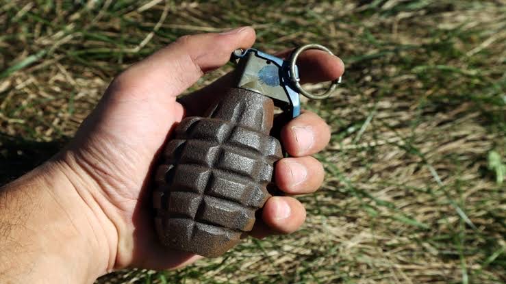 Ex-Militant Turned OGW Arrested Along With Grenade In Kupwara: Police