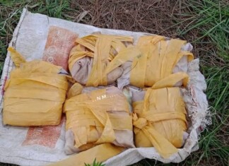 Narcotics Recovered Along LoC In Rajouri: Police