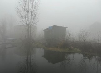 Dense Fog Engulfs Kashmir, Srinagar Shivers At Minus 3°C