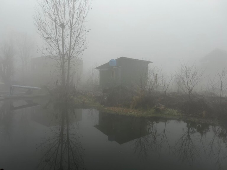 Dense Fog Engulfs Kashmir, Srinagar Shivers At Minus 3°C