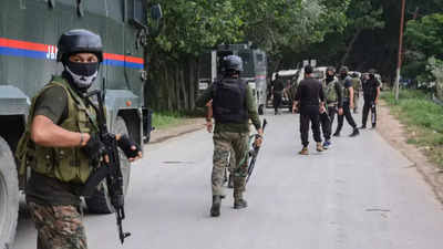 Two Unidentified Militants Killed In Over Night Encounter At Sopore: Top Official