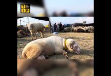 What’s The Buzz In Markets Ahead Of Eid?