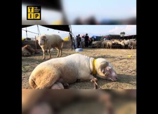 What’s The Buzz In Markets Ahead Of Eid?